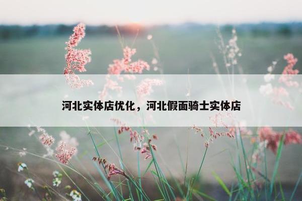 河北实体店优化，河北假面骑士实体店