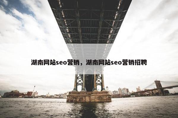 湖南网站seo营销，湖南网站seo营销招聘