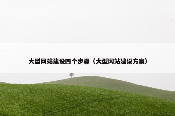 大型网站建设四个步骤（大型网站建设方案）