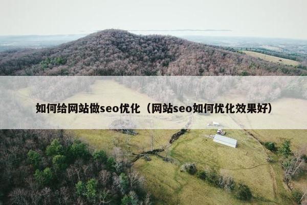 如何给网站做seo优化（网站seo如何优化效果好）