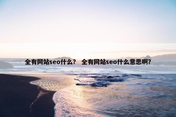 全有网站seo什么？ 全有网站seo什么意思啊？