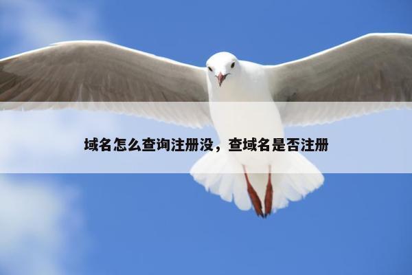 域名怎么查询注册没，查域名是否注册