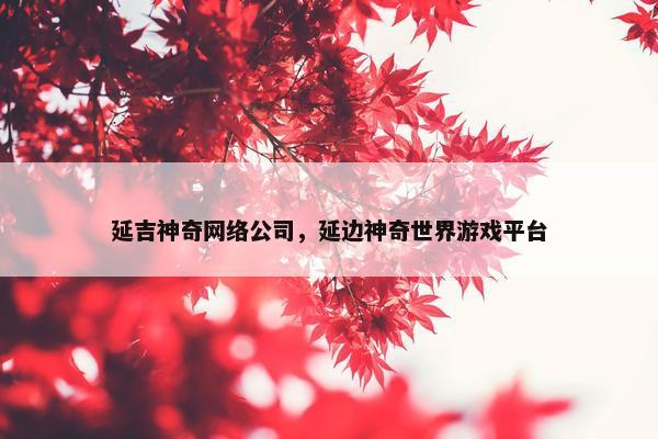 延吉神奇网络公司，延边神奇世界游戏平台