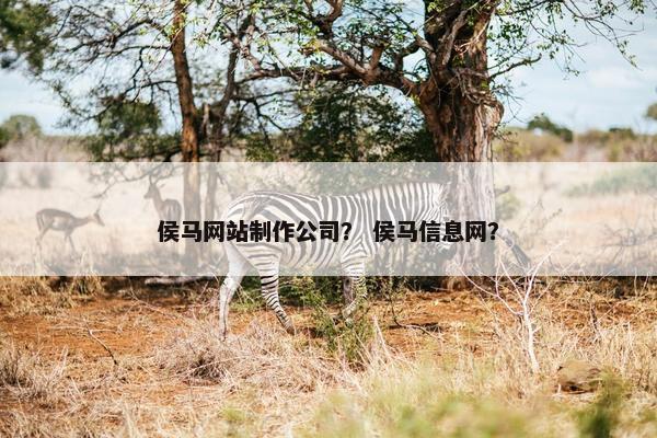 侯马网站制作公司？ 侯马信息网？