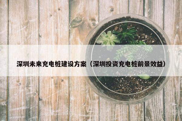 深圳未来充电桩建设方案（深圳投资充电桩前景效益）