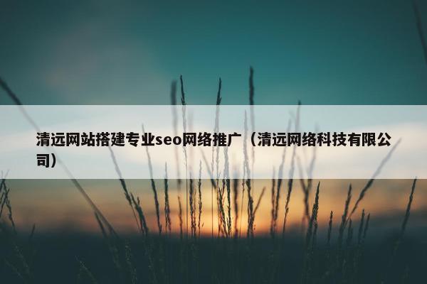 清远网站搭建专业seo网络推广（清远网络科技有限公司）