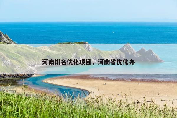 河南排名优化项目，河南省优化办