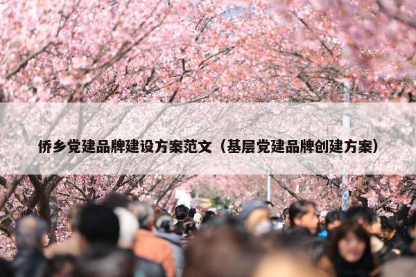 侨乡党建品牌建设方案范文（基层党建品牌创建方案）
