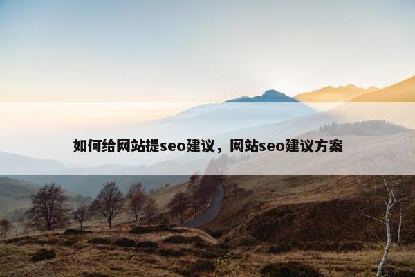 如何给网站提seo建议，网站seo建议方案