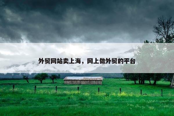 外贸网站卖上海，网上做外贸的平台