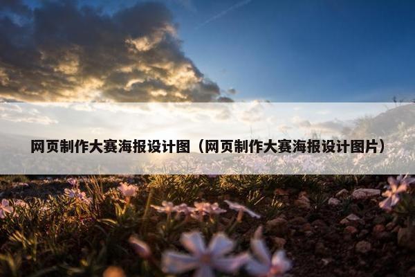 网页制作大赛海报设计图（网页制作大赛海报设计图片）