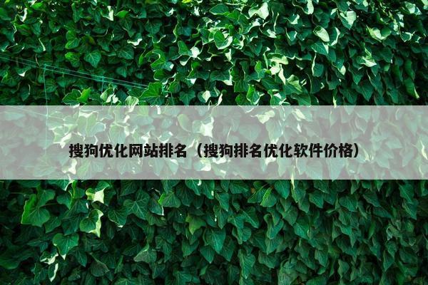 搜狗优化网站排名（搜狗排名优化软件价格）