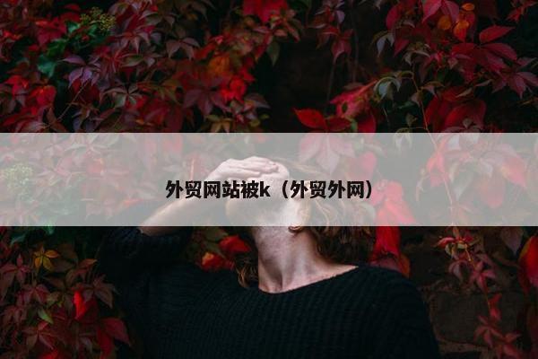 外贸网站被k（外贸外网）