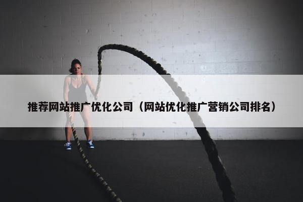 推荐网站推广优化公司（网站优化推广营销公司排名）