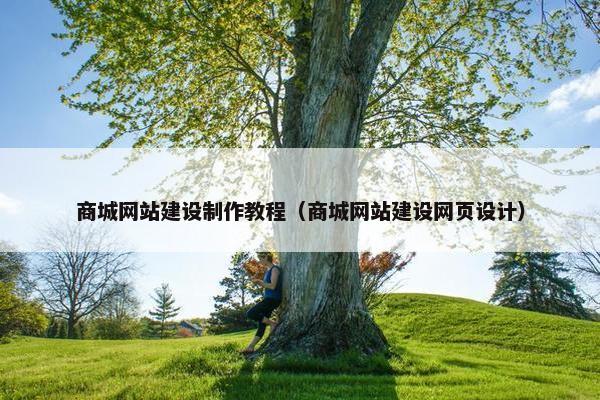 商城网站建设制作教程（商城网站建设网页设计）
