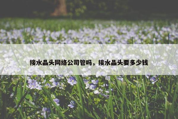 接水晶头网络公司管吗，接水晶头要多少钱