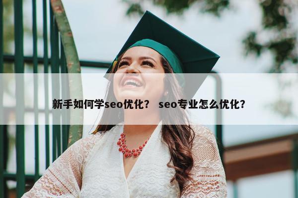 新手如何学seo优化？ seo专业怎么优化？