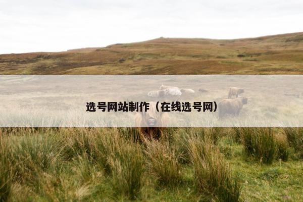 选号网站制作（在线选号网）