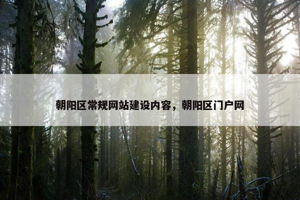 朝阳区常规网站建设内容，朝阳区门户网