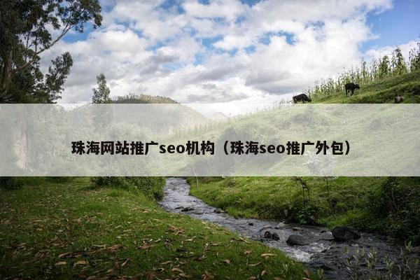 珠海网站推广seo机构（珠海seo推广外包）