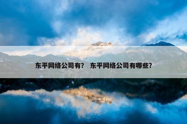 东平网络公司有？ 东平网络公司有哪些？
