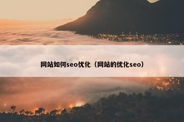 网站如何seo优化（网站的优化seo）
