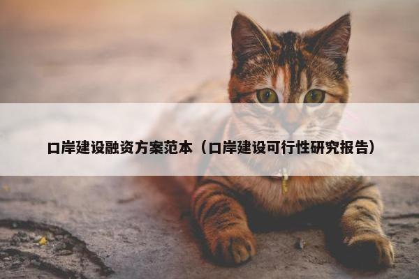 口岸建设融资方案范本（口岸建设可行性研究报告）