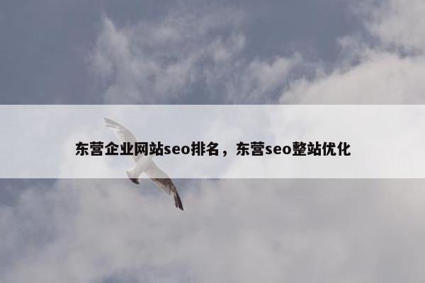 东营企业网站seo排名，东营seo整站优化