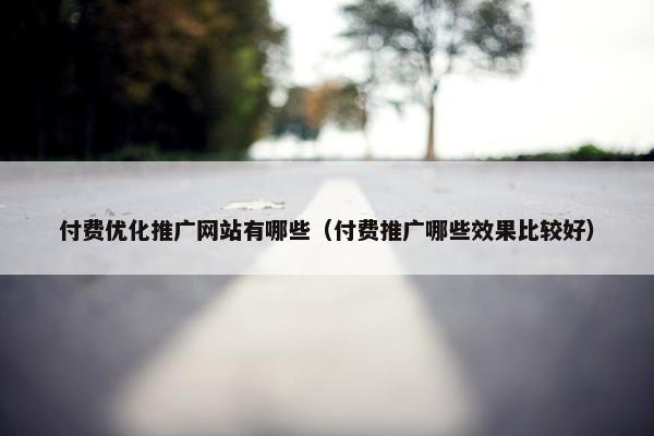 付费优化推广网站有哪些（付费推广哪些效果比较好）