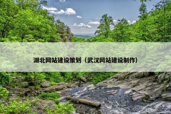 湖北网站建设策划（武汉网站建设制作）