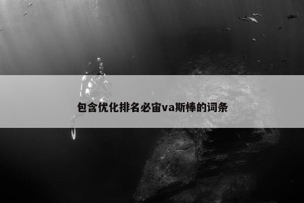 包含优化排名必宙va斯棒的词条
