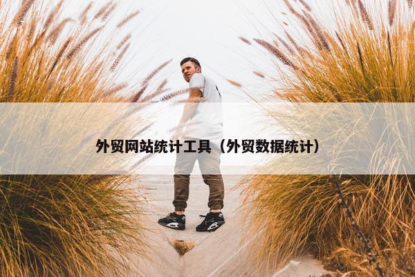 外贸网站统计工具（外贸数据统计）