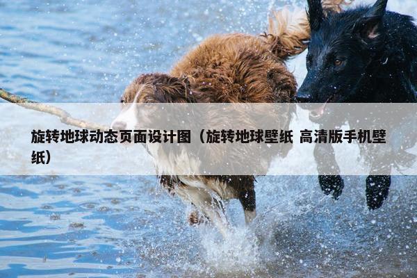 旋转地球动态页面设计图（旋转地球壁纸 高清版手机壁纸）