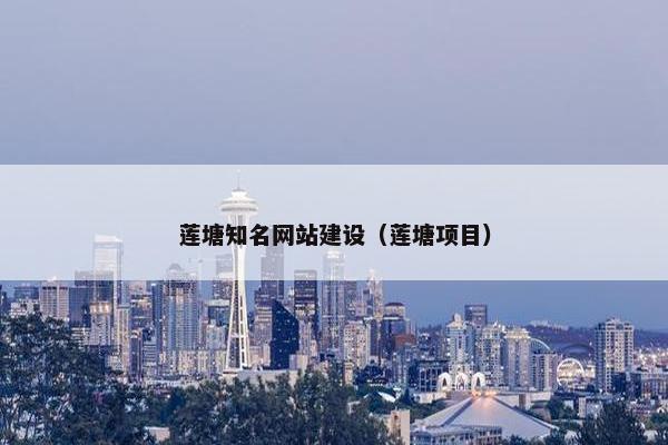莲塘知名网站建设（莲塘项目）
