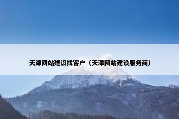 天津网站建设找客户（天津网站建设服务商）