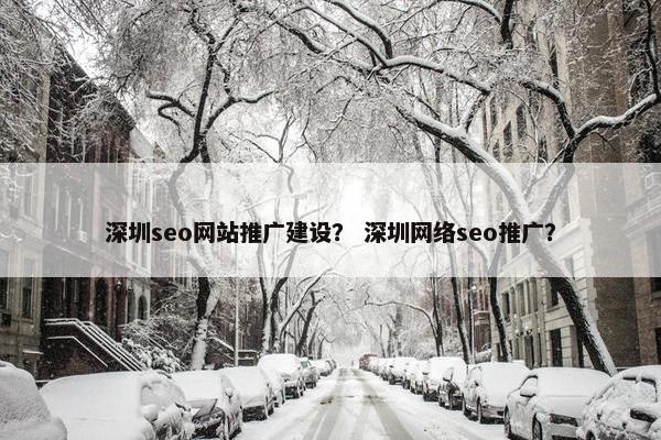 深圳seo网站推广建设？ 深圳网络seo推广？