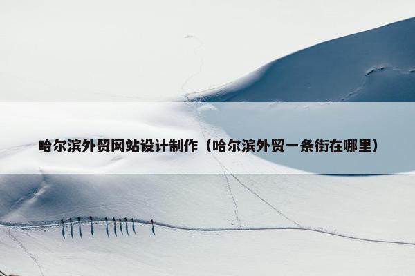 哈尔滨外贸网站设计制作（哈尔滨外贸一条街在哪里）