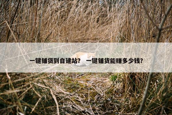 一键铺货到自建站？ 一键铺货能赚多少钱？