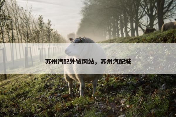 苏州汽配外贸网站，苏州汽配城