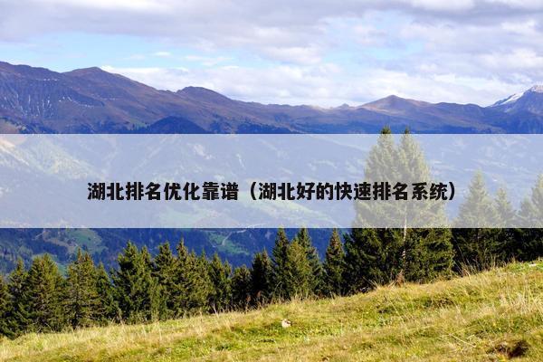 湖北排名优化靠谱（湖北好的快速排名系统）