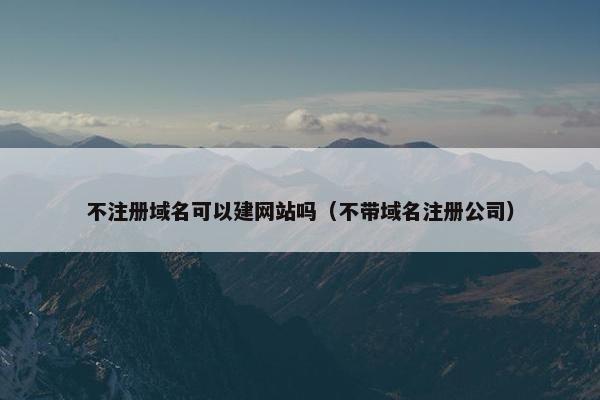 不注册域名可以建网站吗（不带域名注册公司）