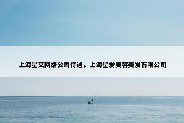 上海星艾网络公司待遇，上海星爱美容美发有限公司