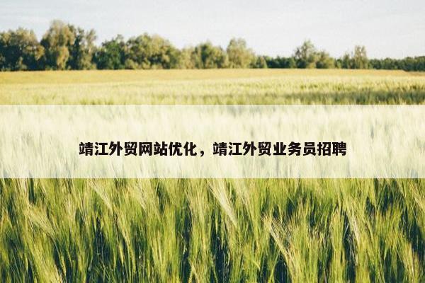 靖江外贸网站优化，靖江外贸业务员招聘