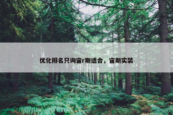 优化排名只询宙r斯适合，宙斯实装