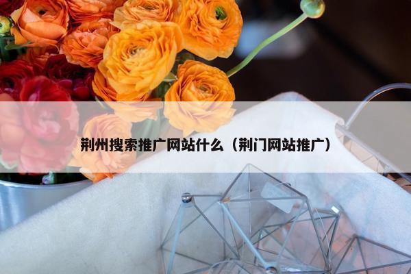 荆州搜索推广网站什么（荆门网站推广）
