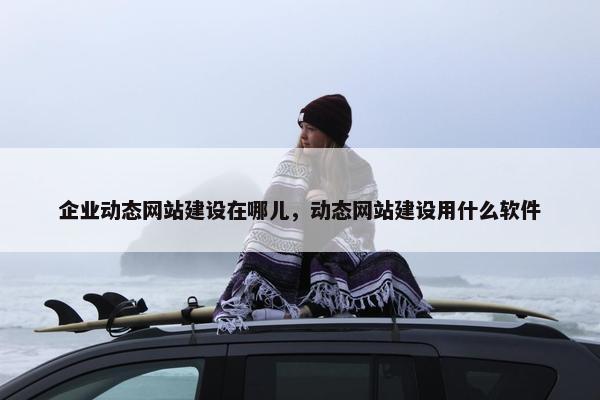 企业动态网站建设在哪儿，动态网站建设用什么软件