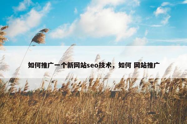 如何推广一个新网站seo技术，如何 网站推广