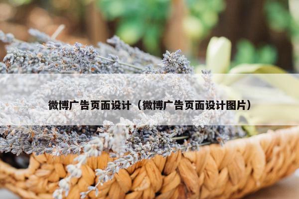 微博广告页面设计（微博广告页面设计图片）
