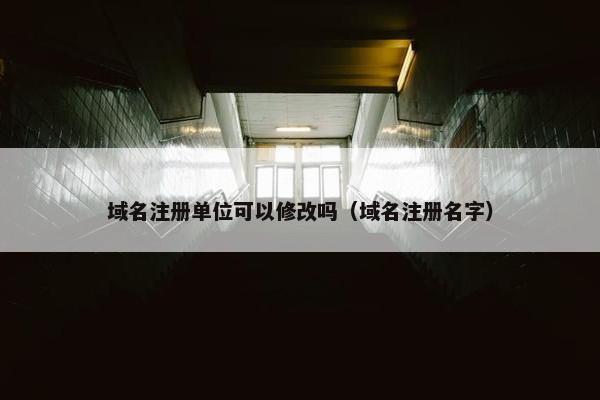 域名注册单位可以修改吗（域名注册名字）