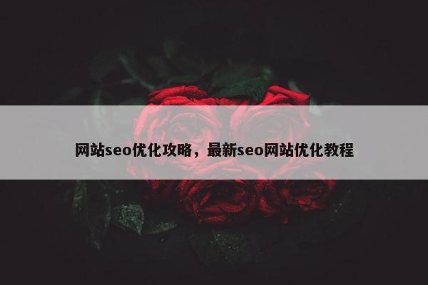 网站seo优化攻略，最新seo网站优化教程